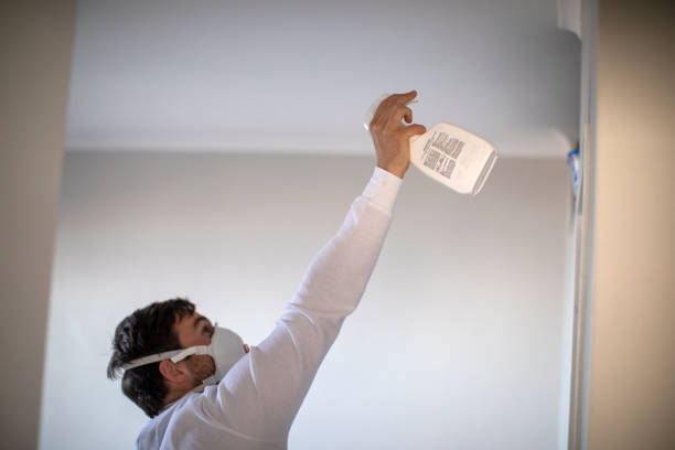 Best Bathroom Mold Remediation in Hybla Lley, VA