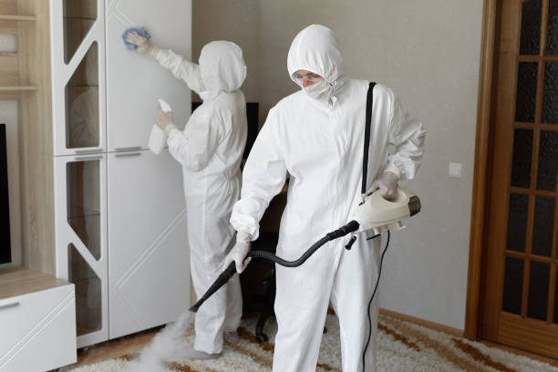 Best Mold Testing and Inspection Services in Hybla Lley, VA