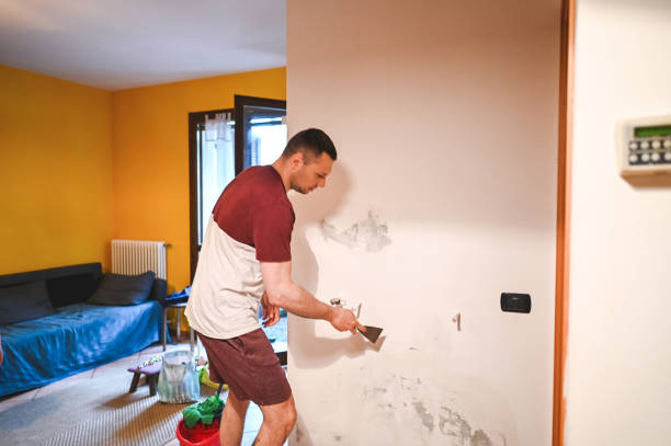 Best Emergency Mold Remediation in Hybla Lley, VA